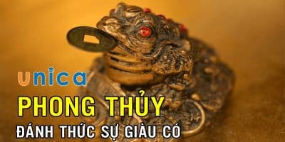 Phong thủy đánh thức sự giàu có