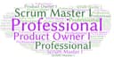 Luyện thi chứng chỉ Scrum Master I (PSM I) và Product Owner I (PSPO I)