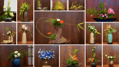 Học Cắm Hoa Từ Cơ Bản Đến Làm Chủ Shop Hoa - Công Ty Truyền Thông và Giáo Dục Phương Minh