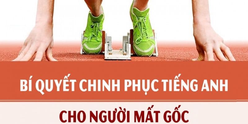 Bí quyết chinh phục Tiếng Anh cho người mất gốc